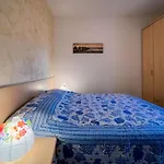 Pace ビビオーネ